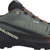 TENISICE SALOMON GENESIS 2 URBAN CHIC/BLACK, 45 1/3