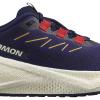 TENISICE SALOMON AERO BLAZE 3 GRVL ASTRAL AURA, 44 2/3