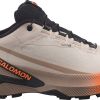 TENISICE SALOMON GENESIS 2 GTX RAINY DAY/DESERT TAN, 38 2/3